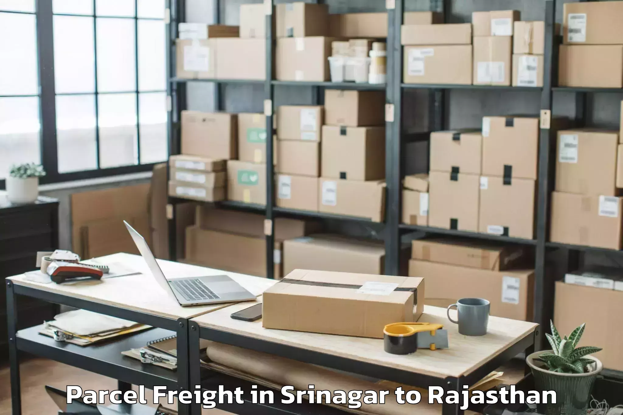 Leading Srinagar to Iit Jodhpur Parcel Freight Provider